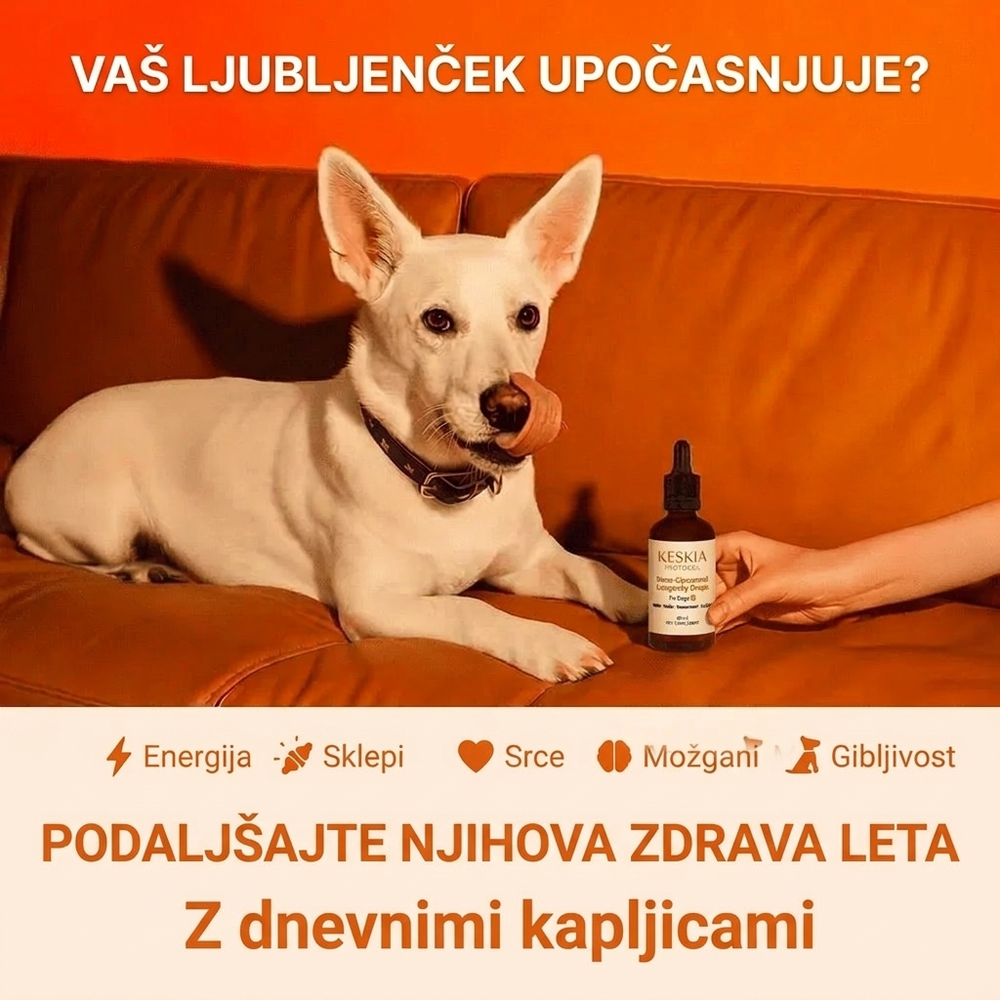 Keskia Protocol SI