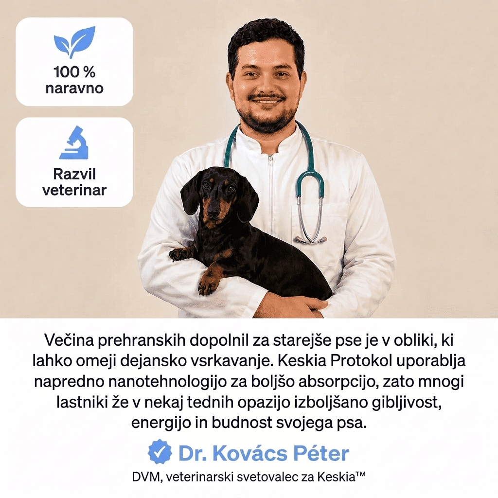 Keskia Protocol SI