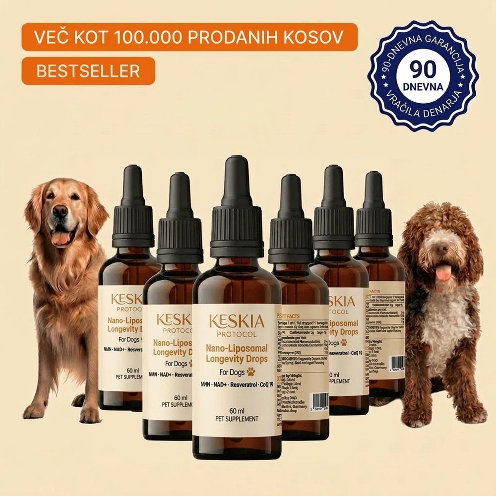 Keskia Protocol SI