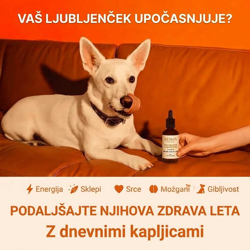 Keskia Protocol SI