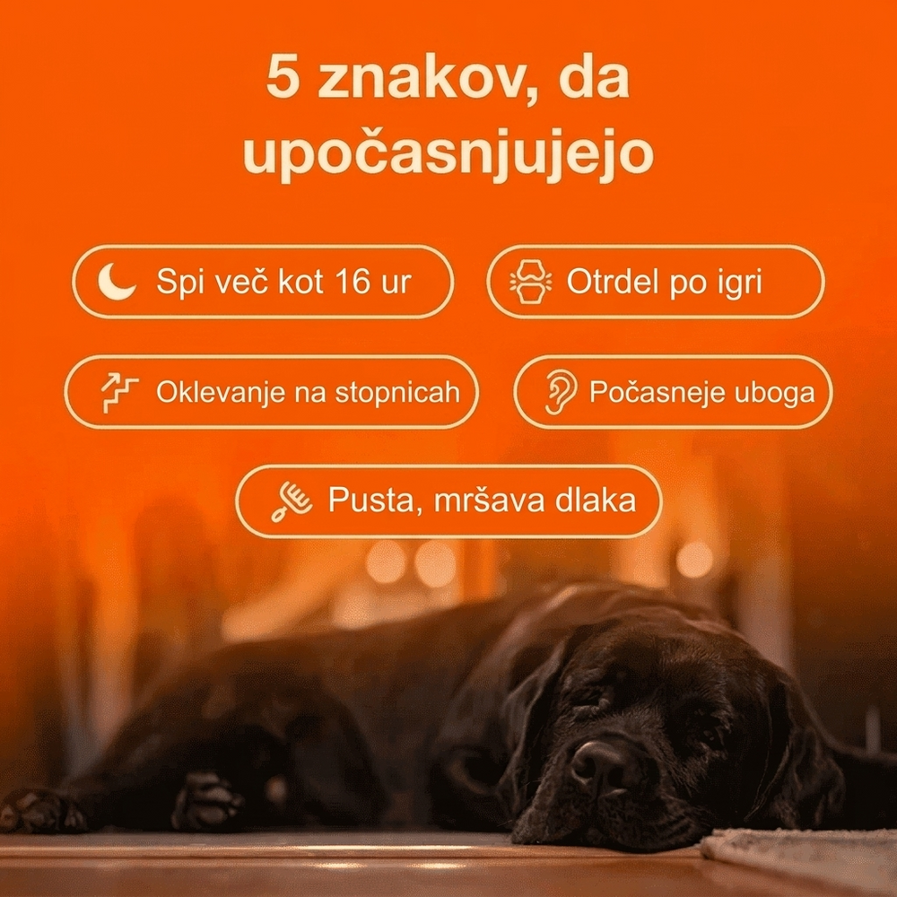 Keskia Protocol SI