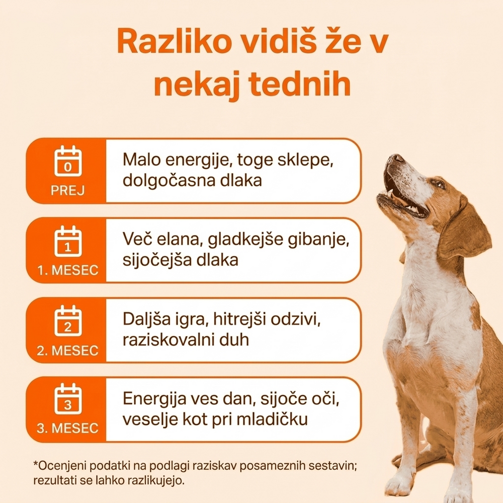 Keskia Protocol SI