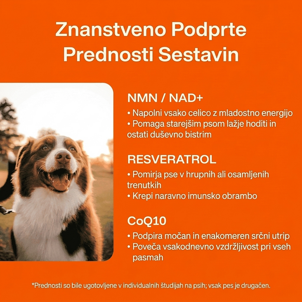 Keskia Protocol SI