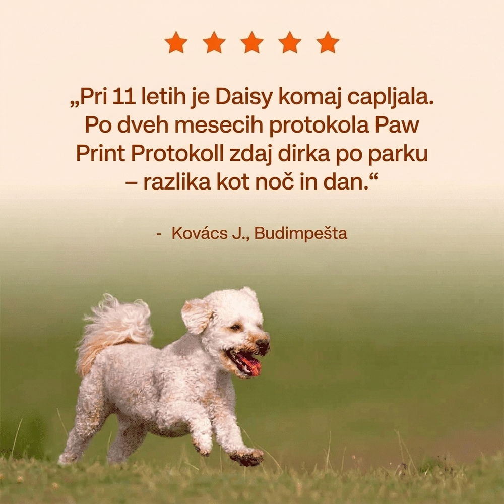 Keskia Protocol SI